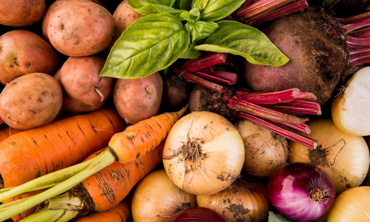 warzywa liofilizowane